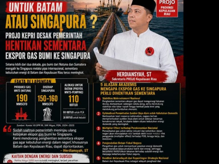 Gas Natuna ke Singapura, Batam Baru Kebagian? Ini Sorotan Projo Kepri