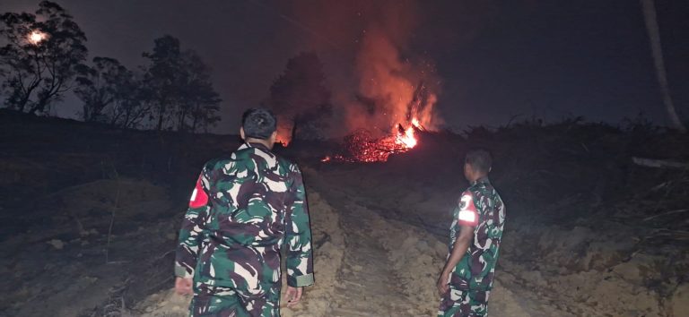 Lahan Baloi Kolam Terbakar, Aksi Cepat Tim Gabungan TNI-Polri dan Damkar Batam Padamkan Api