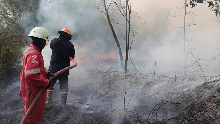 RESPON CEPAT POLSEK BINTAN UTARA PADAMKAN KARHUTLA DI TELUK LOBAM
