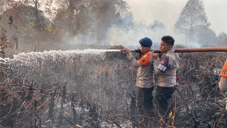 HARI KE-15, Personel Polsek Daik Bersama,Personel Brimobda Polda Kepri dan Tim Gabungan Terus Berjibaku Padamkan Karhutla Di Resun Pesisir