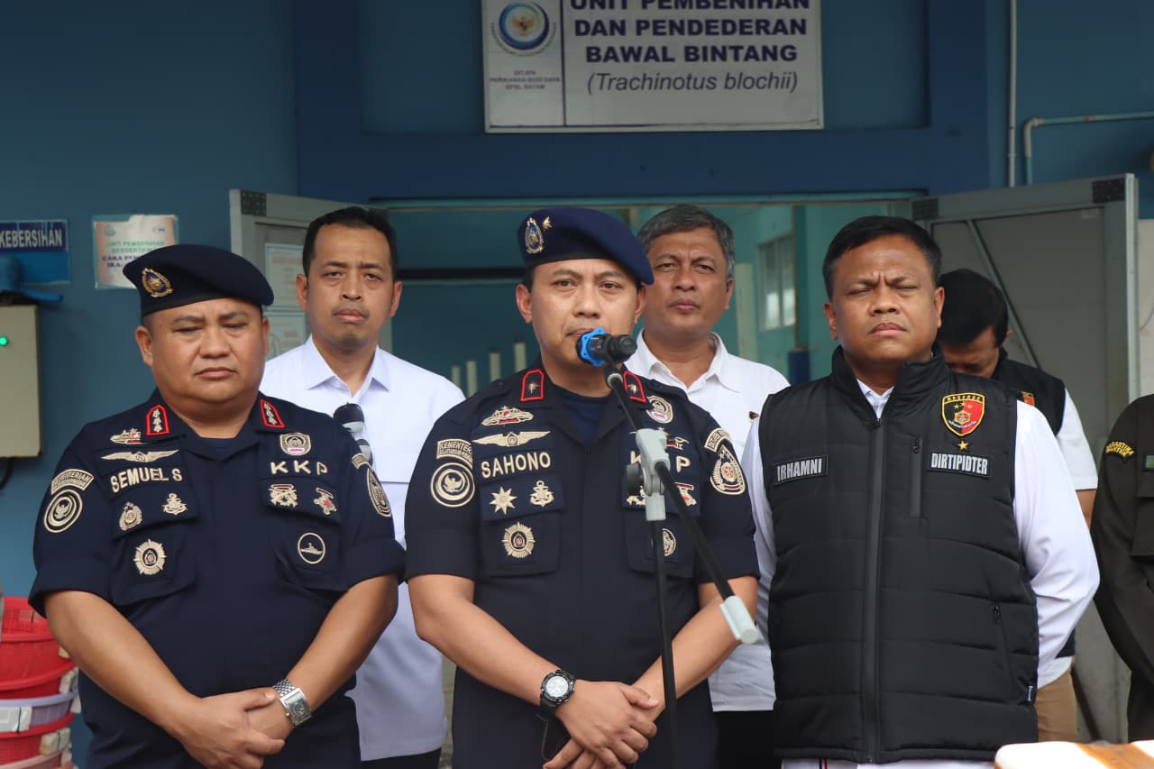 73.477 Benih Bening Lobster Dibudidayakan Di Batam, Dittipidter Bareskrim Polri Berhasil Ungkap Dugaan Penyelundupan
