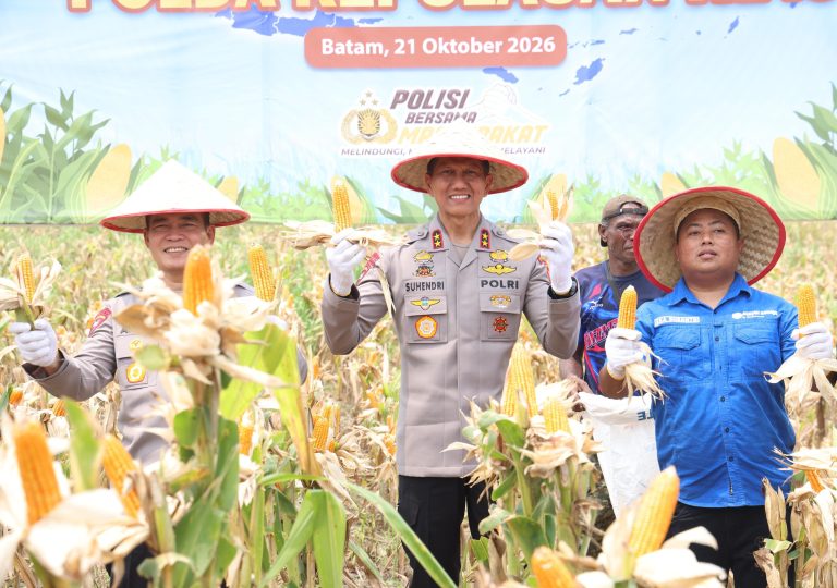 PANEN RAYA JAGUNG PIPIL, POLDA KEPRI PERKUAT KETAHANAN PANGAN BERSAMA KELOMPOK TANI